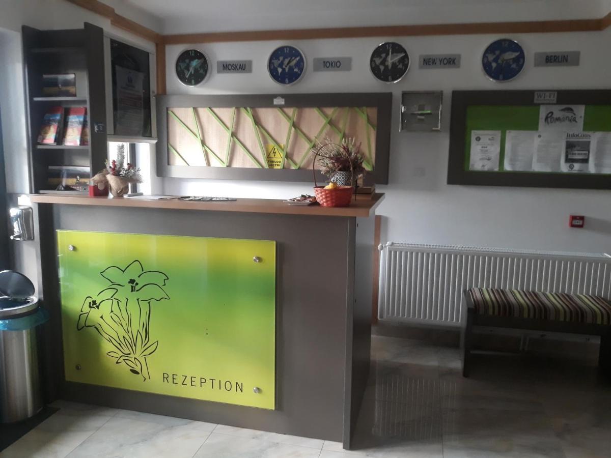 Pensión Nut House Retezat